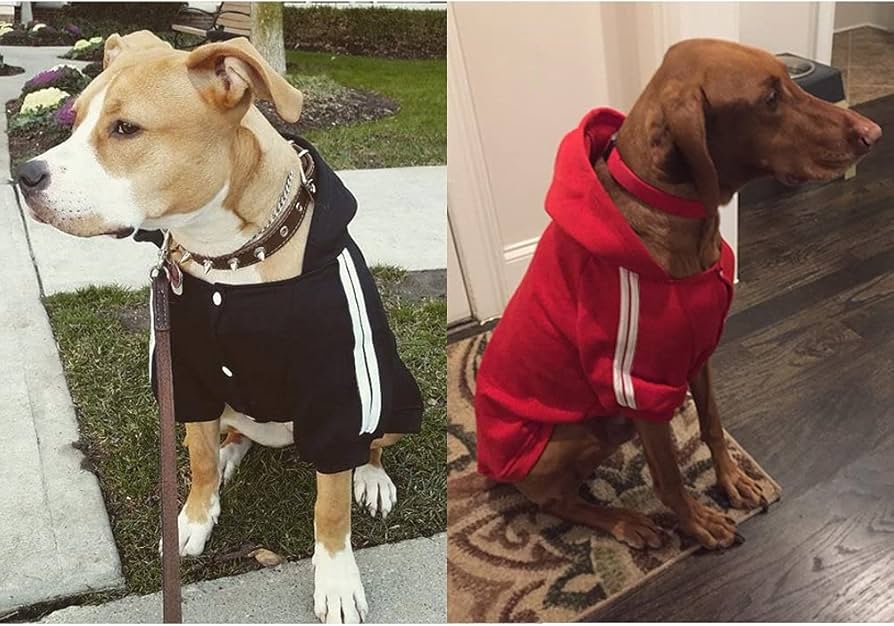 犬服 3S わんこの普段着　ベリーベリー　ラズベリー 犬服 3S わんこの普段着ベリーベリーレッド